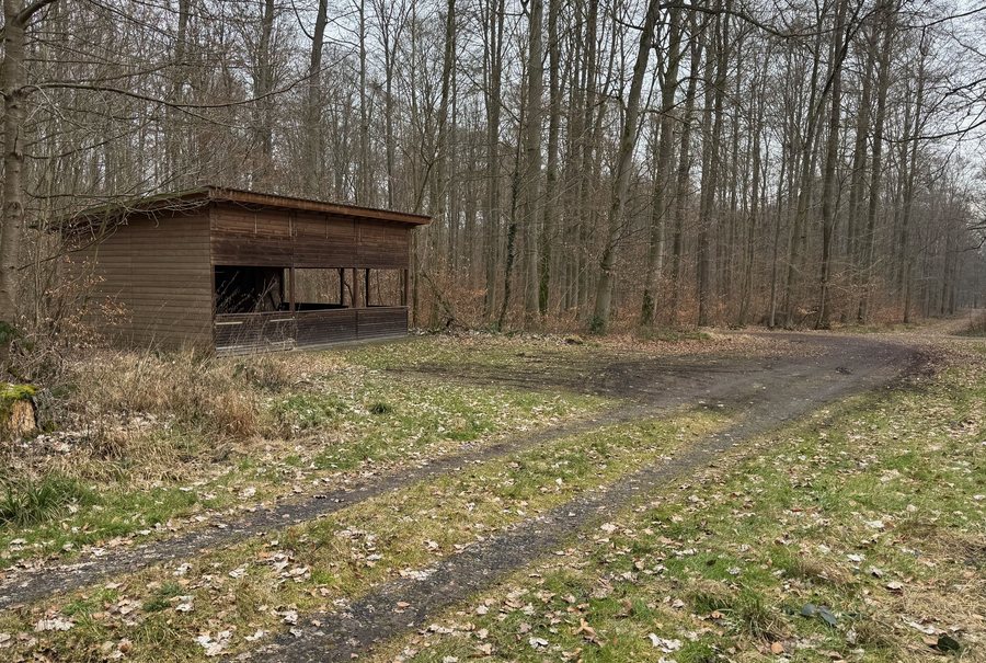 File:OSM shelter Woelfersheim Hessen Germany 387809897 1.jpg
