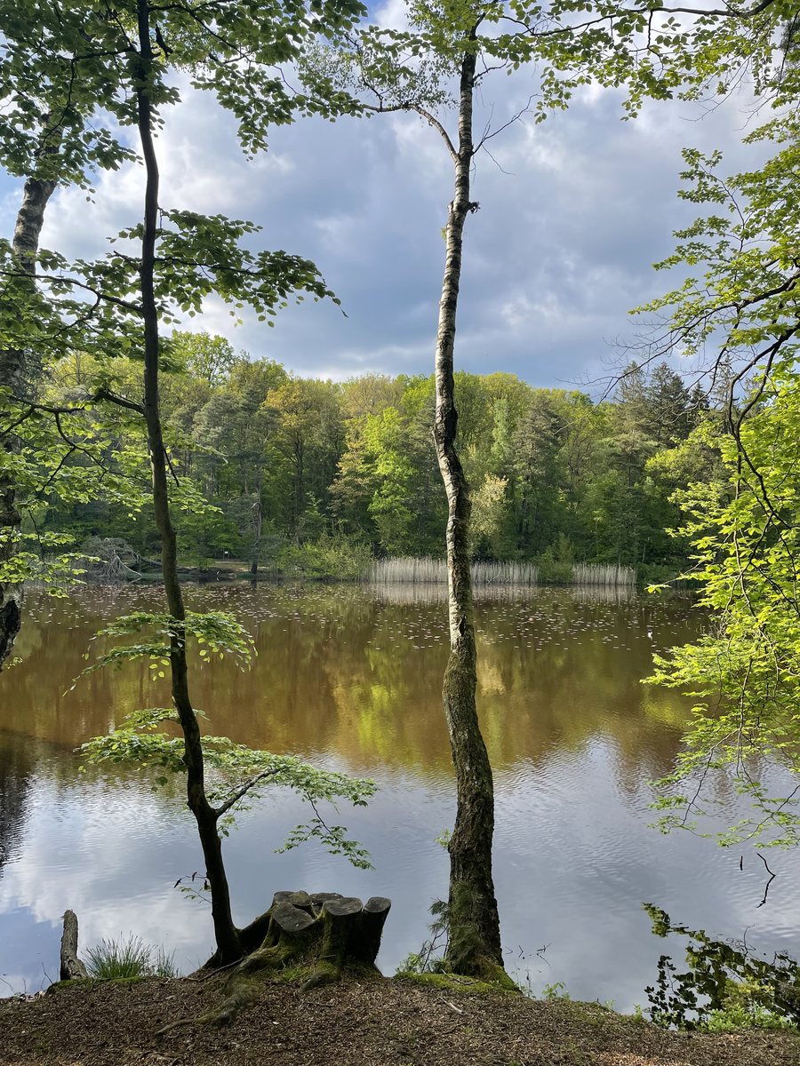File:Retzbergweiher.jpg