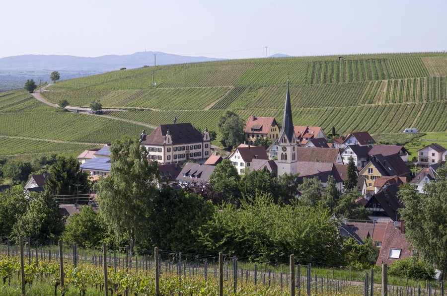 File:Ebringen jm8806.jpg