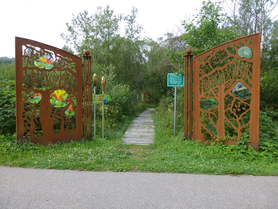 File:Moorlehrpfad Arrach.jpg