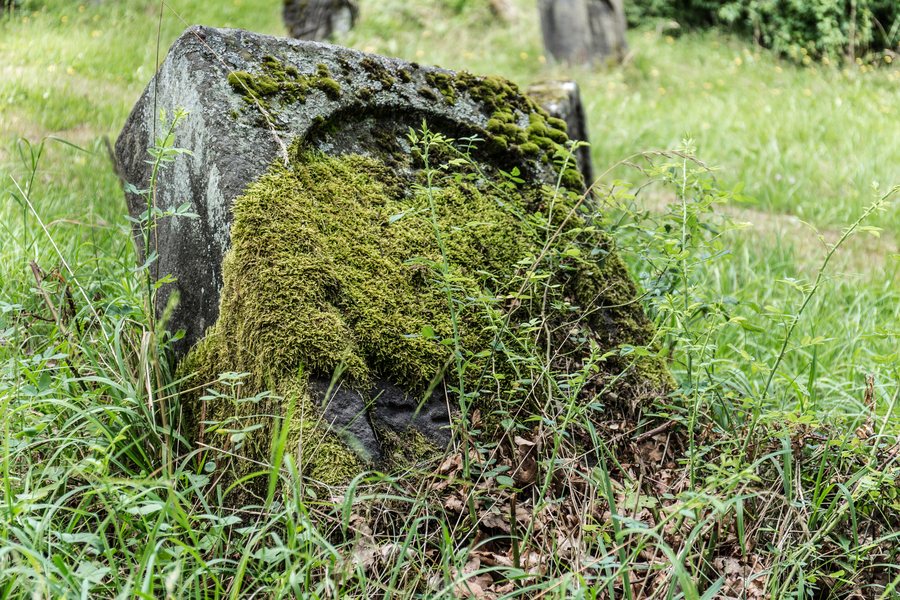Jüdischer Friedhof in Schnaittach