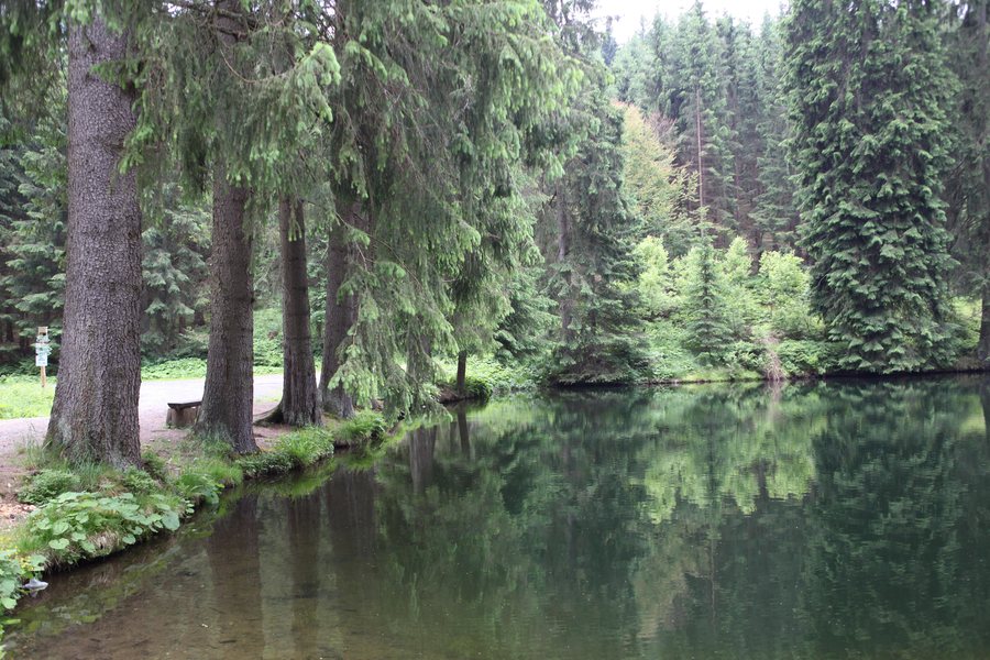 File:Sachsenbrunn-Werrateich.jpg