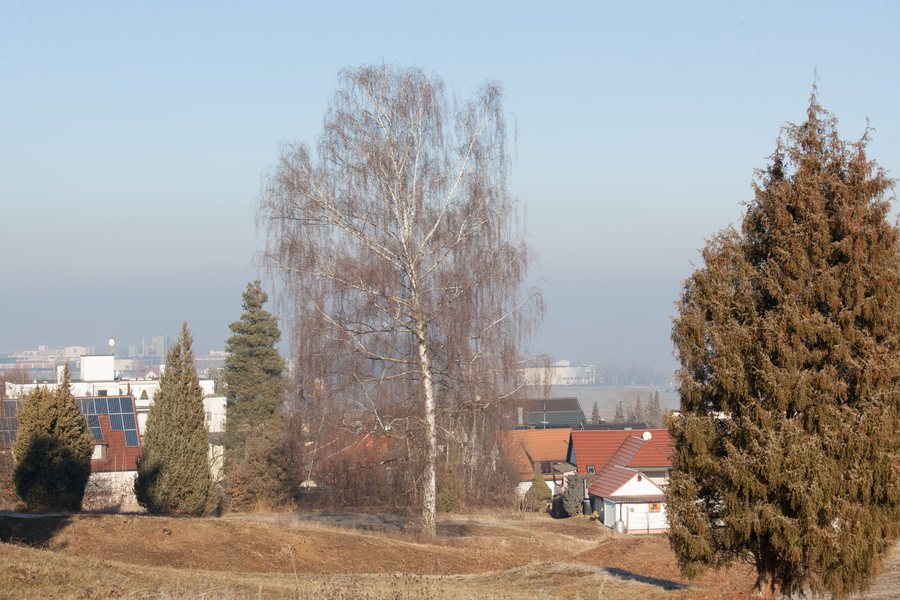 File:Wacholderhaide Haberschlai in Filderstadt and Smog after New-Year.jpg