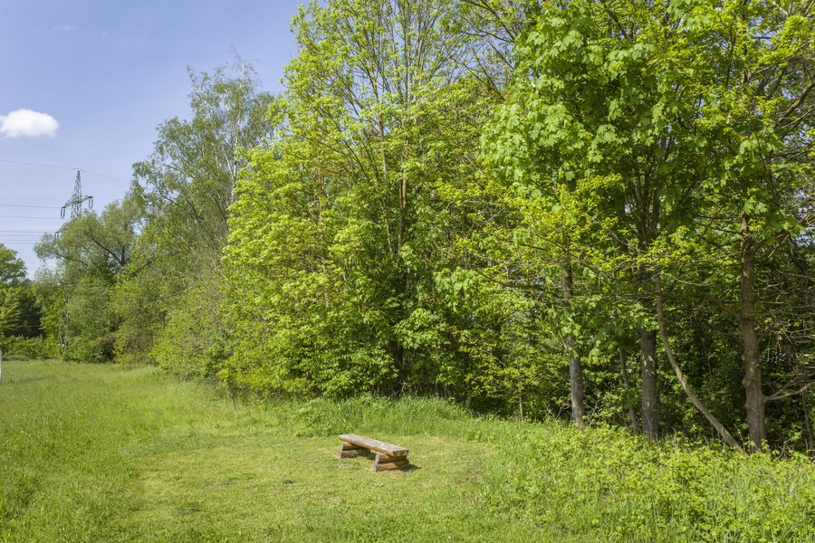File:Am Unkenbach nördlich von Röthlein.jpg