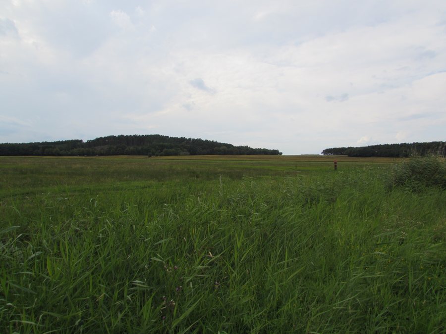 Marzahner Fenn and Eichberg in Havelsee