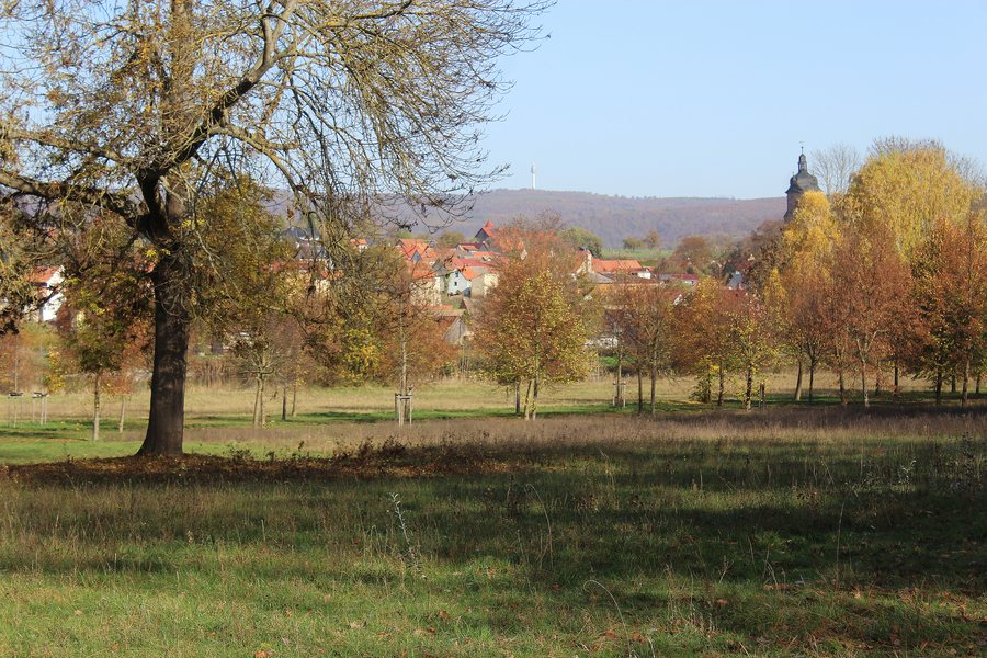 File:Bendeleben, Schlosspark, Blick zum Dorf.jpg