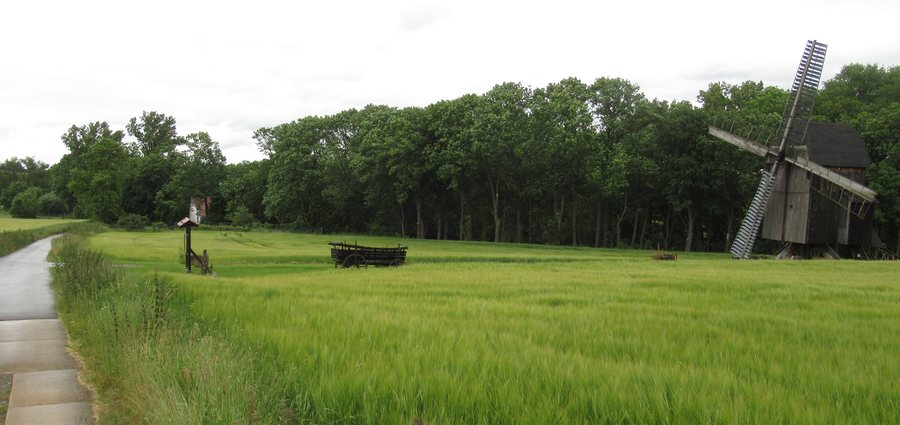 File:Bockwindmühle Ballstädt 1.jpg