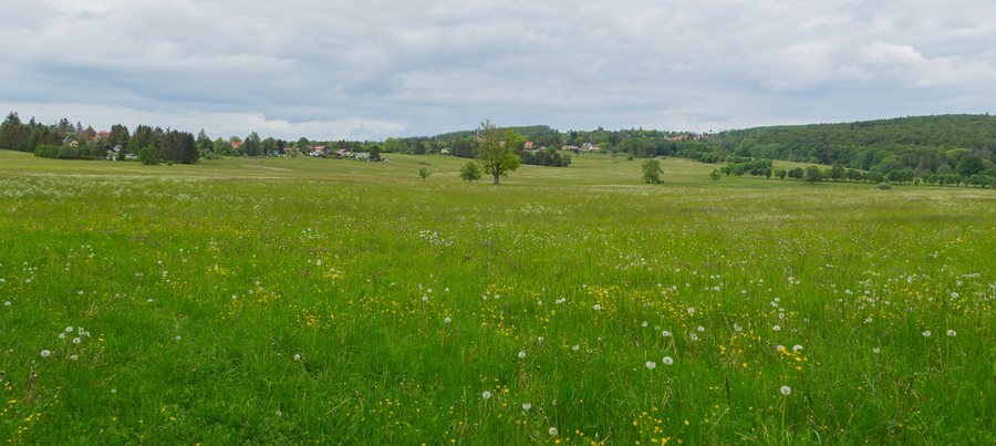 File:Friedrichsbrunn 23.jpg