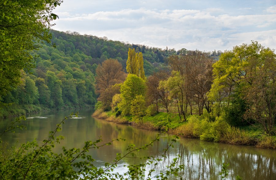 File:Besigheim - LSG Neckartal zwischen Hessigheim und Besigheim - Neckarschleife im Mai.jpg