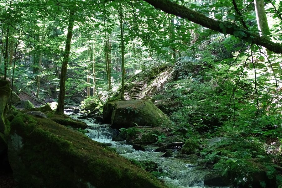 File:Karlsschlucht Trippstadt.jpg
