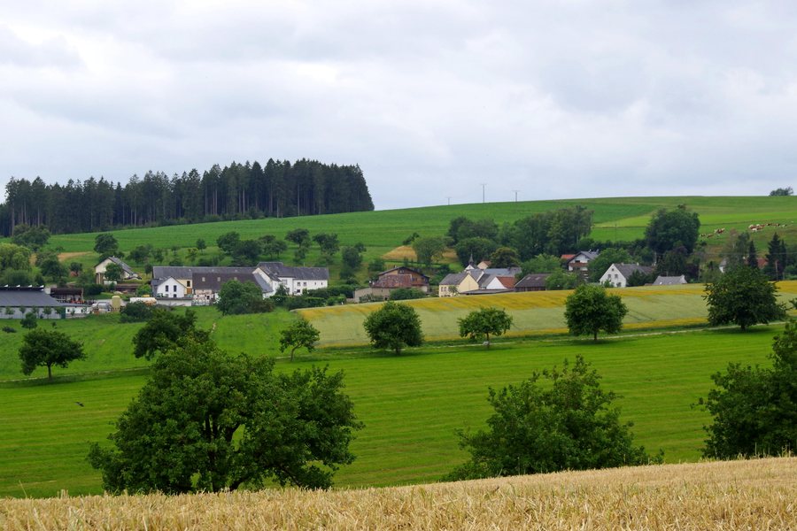 Niederweiler (Eifel) von Nordosten
