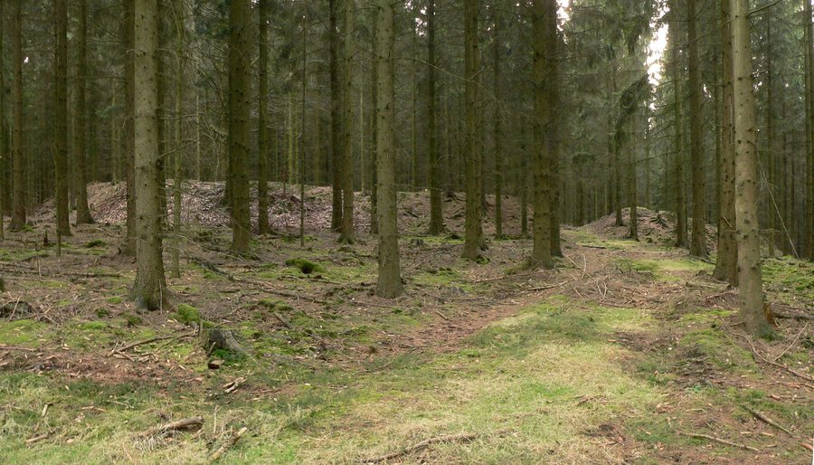 File:Sassenburg Schecken Gesamtanlage von Nordwest.jpg
