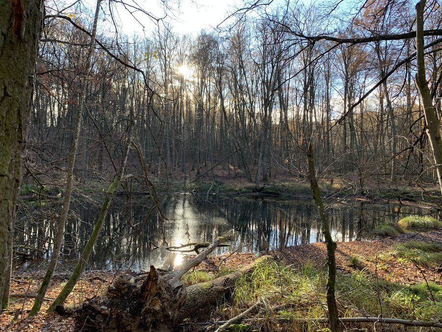File:Oberbarnim Giebelpfuhl 01.jpg
