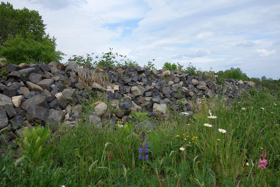 File:NSG Gräbenwäldchesfeld von Hausen, Obertshausen-Hausen.jpg