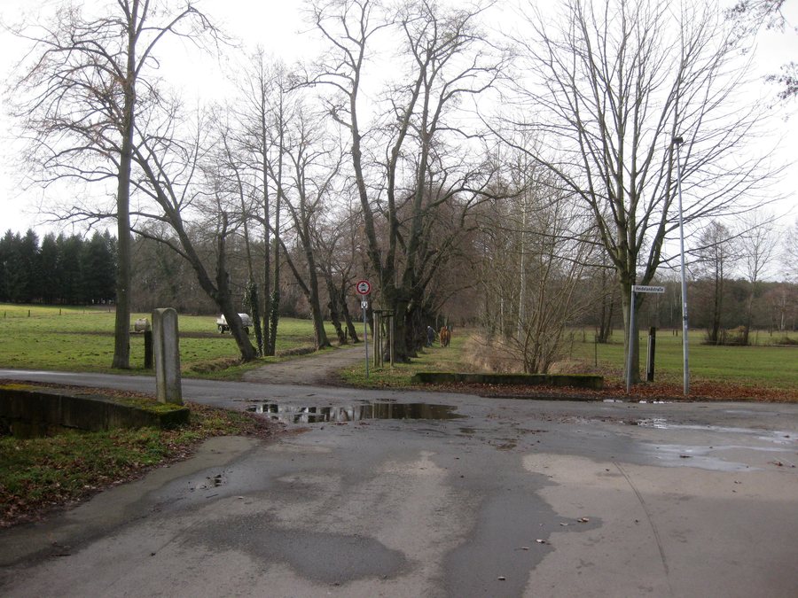 File:Hohenbocka, Kreuzung Dorfaue (Straße) – Heidelandstraße, alte Wegsäule, Nordostansicht, Vorwinter, 01.jpg