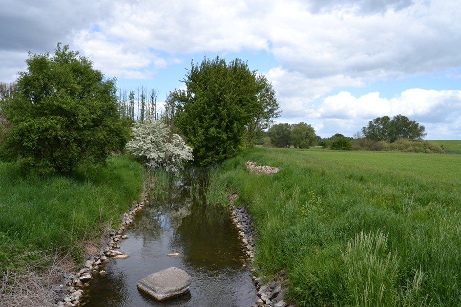 File:DEU-BB-MOL-LSG Seenkette des Platkower Mühlenfließes - 01.JPG
