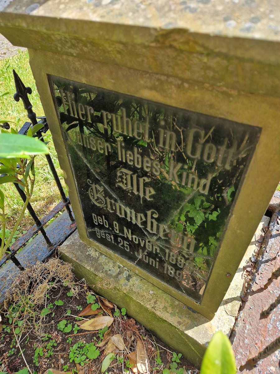 Cemetery Oehrenstock 16