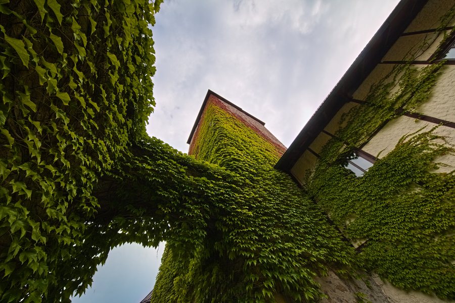 Schloss Fuersteneck Bergfried 2
