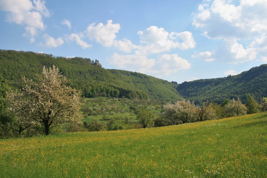 File:Neidlinger Tal im Biosphärengebiet Schwäbische Alb.jpg