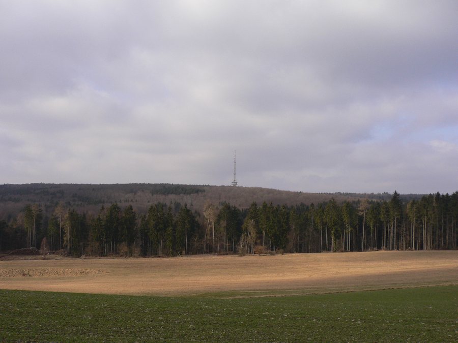 Schelderwald mit Sender Angelburg