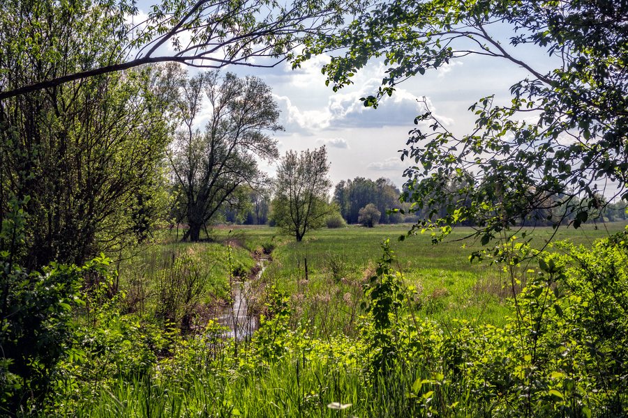 File:Schwarzbach bei Hütschenhausen.jpg