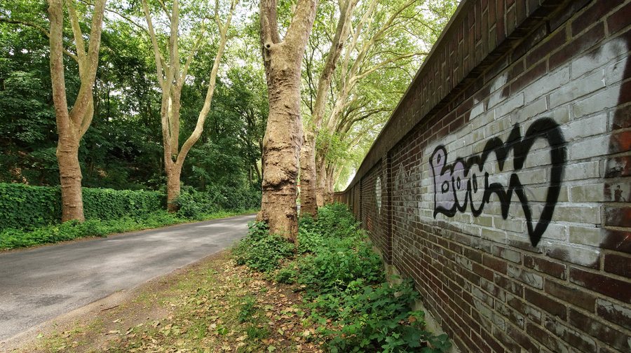 File:Stadtnatur - Allee im Industriegebiet Dinslaken (2).jpg