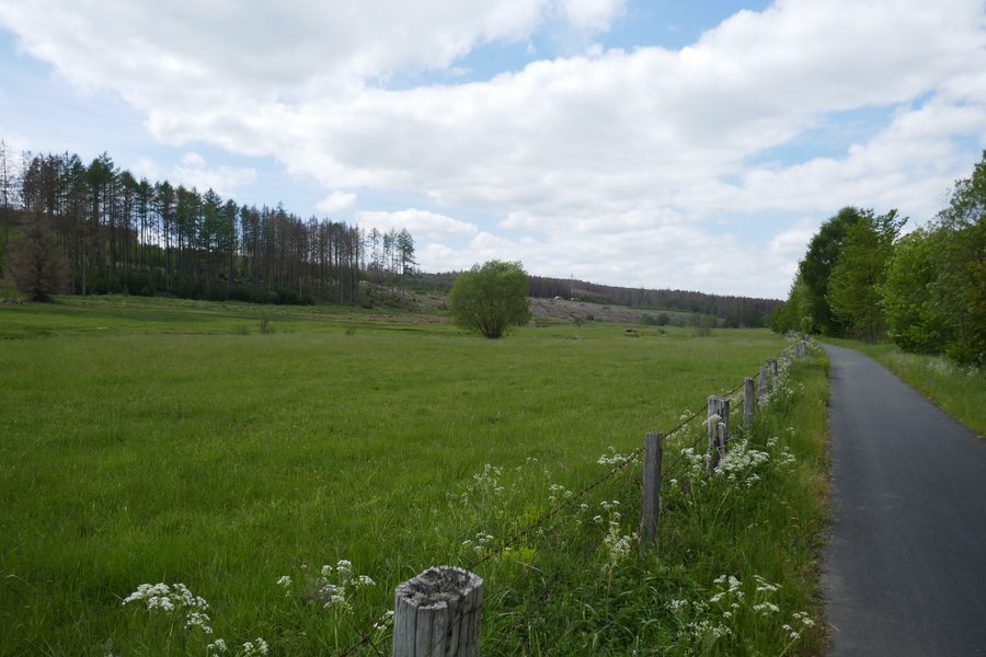 File:Rüthen - Naturschutzgebiet Möhnetal - 2.jpg