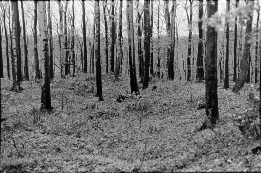 Wallanlage Klei Breitenworbis 1986