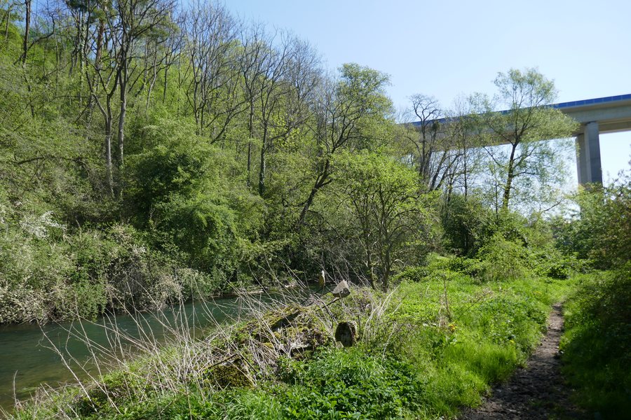 File:Borchen - NSG Ziegenberg - 1.jpg