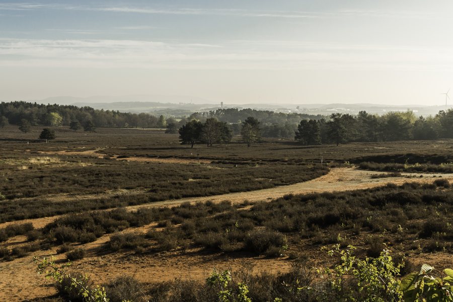 File:Mehlinger Heide - Blick Richtung Mehlingen.jpg