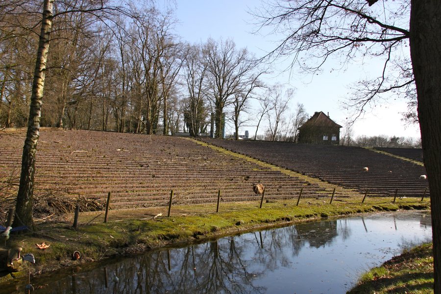 File:Stedingsehre905.jpg