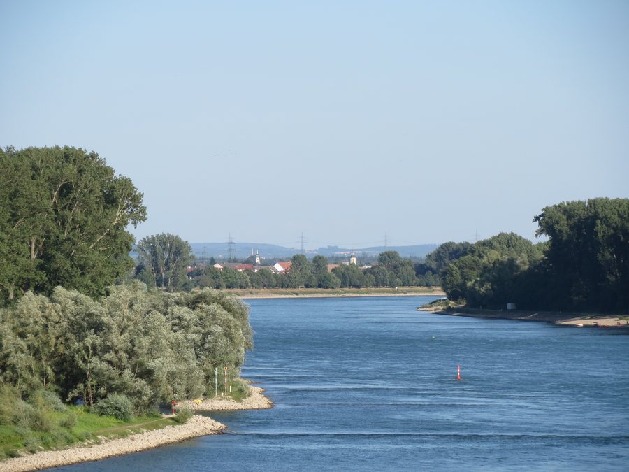 File:20130817Rhein Altlussheim.jpg