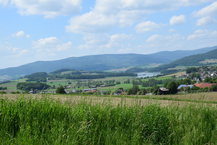 File:Eschlkam Aussichtsturm mit Blick auf den Stausee (1).jpg