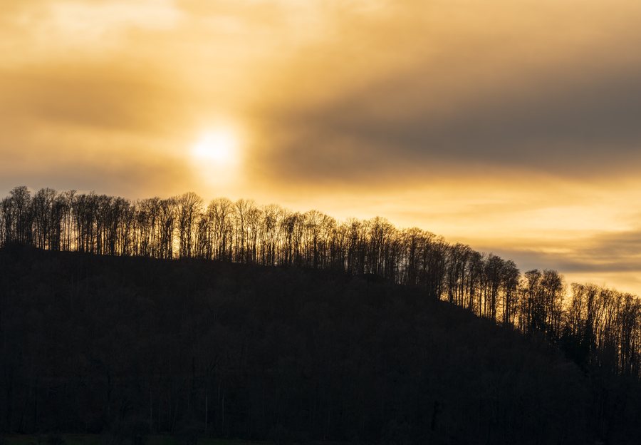 File:Aichelberg (Göppingen) - Turmberg - Waldrand-Silhouette mit untergehender Sonne (1).jpg