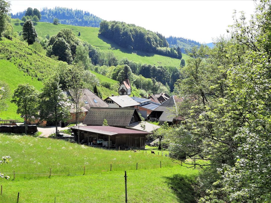 File:Tunau 1.jpg