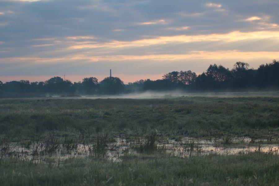 File:Morning mist and crepuscular rays over Havelaue.jpg