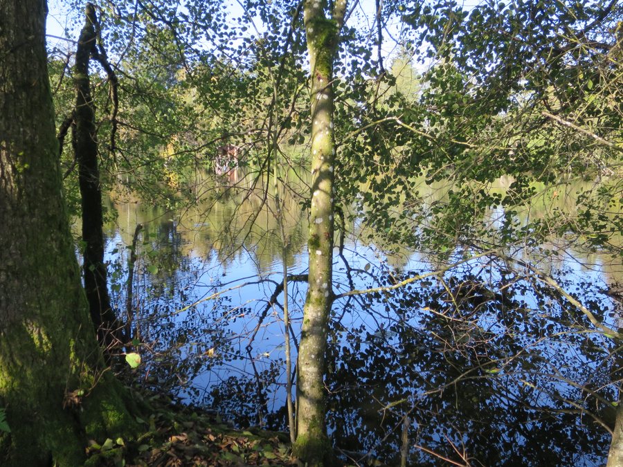 File:Scheibelsee Schnaitsee.jpg