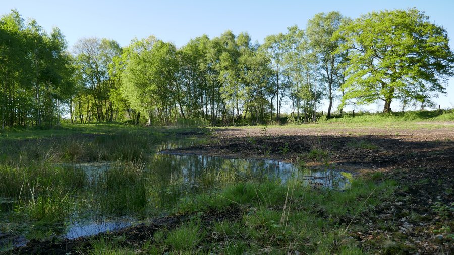 File:Niedersachsen, Dötlingen, ND112 Haverkamps Schlatt.jpg