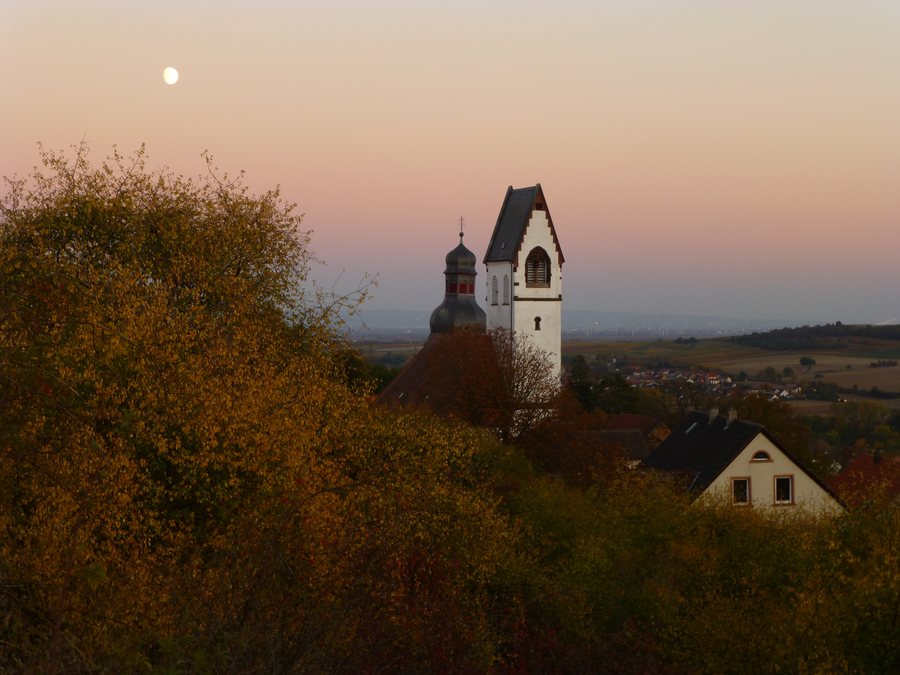 File:Abendstimmung Zell (Zellertal).jpg
