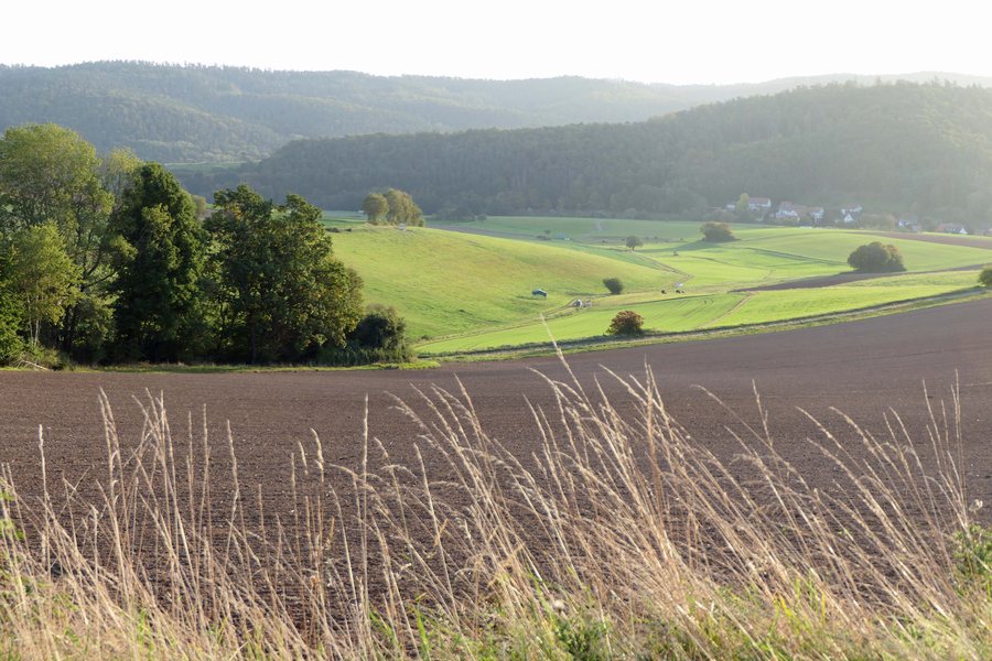 File:Knüllwald, HR - Nenterode v W 02.jpg