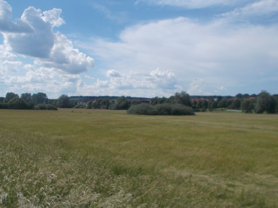 Mohrbachtal bei Steinwenden Teil des Landstuhler Bruchs 2