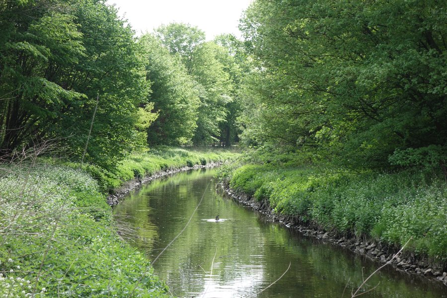 File:Ahlen Blick auf die Werse.jpg
