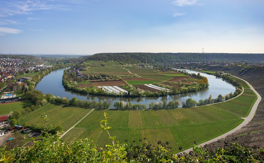 File:Mundelsheim - Neckarschleife von Käsbergkanzel im April.jpg