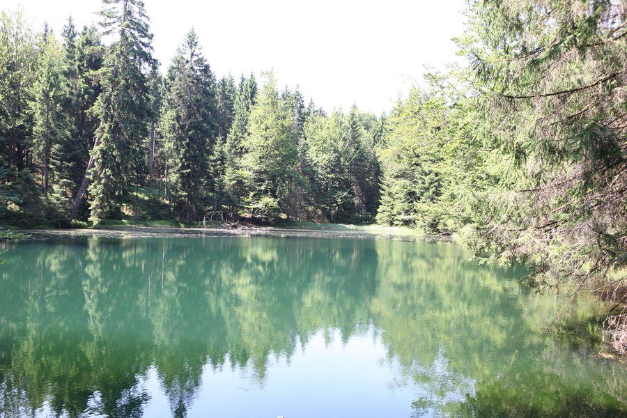 File:Goldisthal-Altfrauteich.jpg