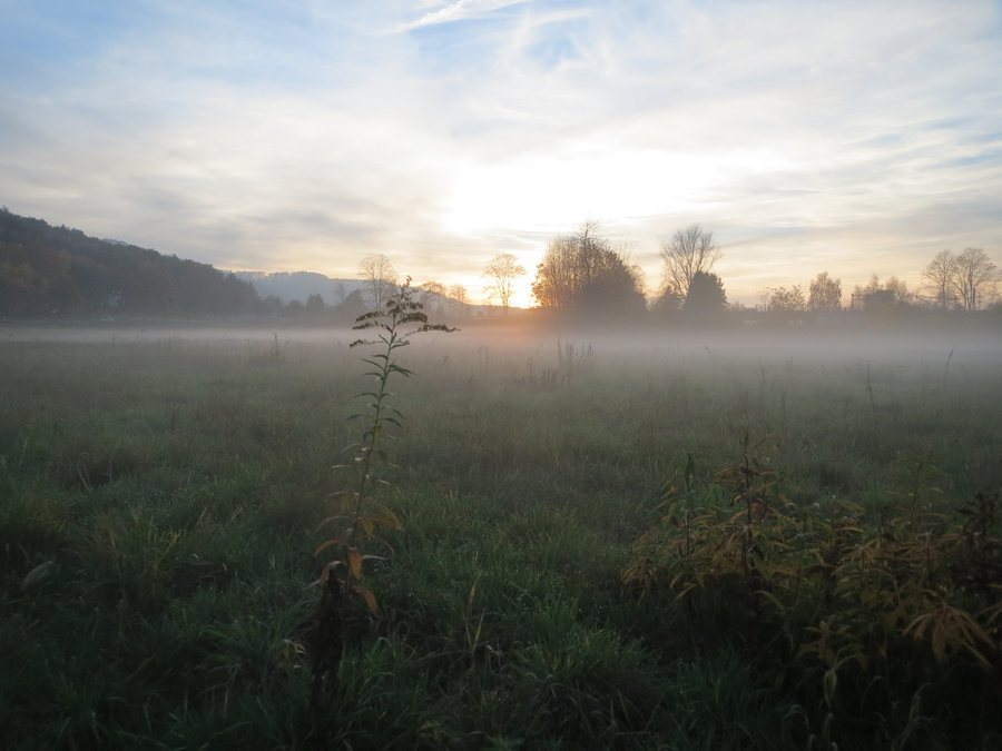 Herbstnebel bei Bruchmühlbach-Miesau