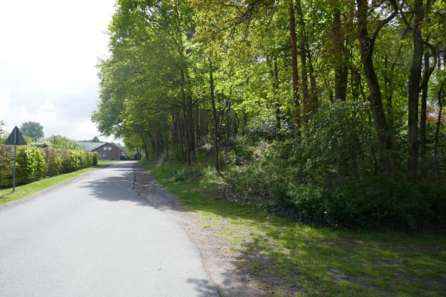 File:Hövelhof - Hasendorfdüne - 2.jpg
