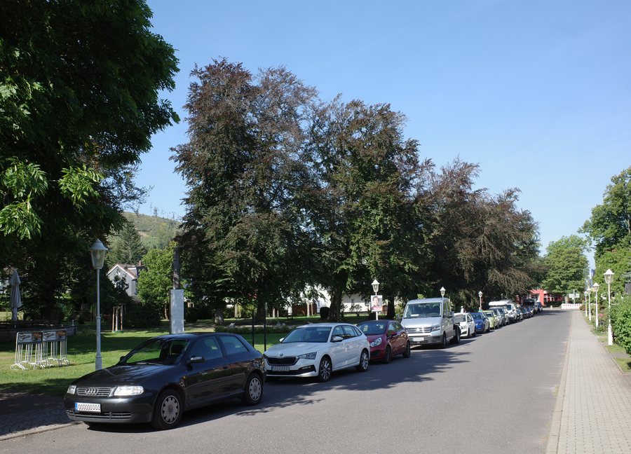 Bad Tabarz, Naturdenkmal, Baumgruppe aus 14 Blutbuchen