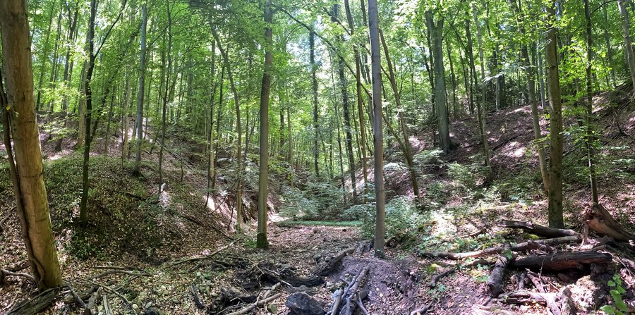Bachklinge im Gewann Klebwald, Naturdenkmal in Ostfildern und Esslingen am Neckar