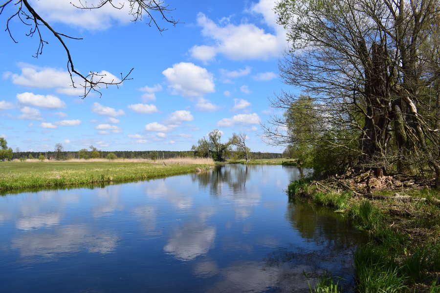 File:Spree bei Kirchhofen.jpg