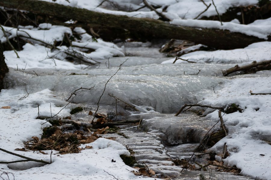 File:Willebadessen - 2018-03-01 - um Karlsschanze (12).jpg